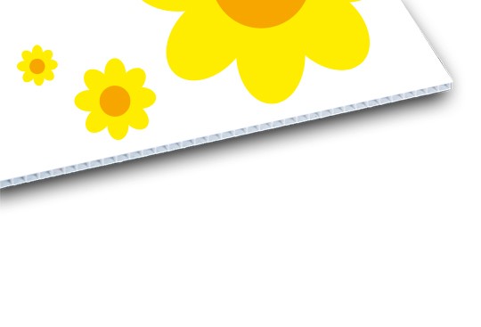Plakat DIN A0 PP-Hohlkammer Materialansicht