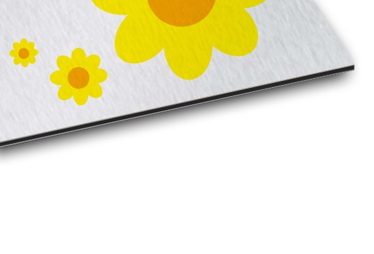 AluVerbund FineArt Detailansicht