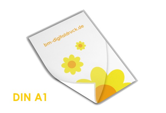 Plakat einlaminiert DIN A1