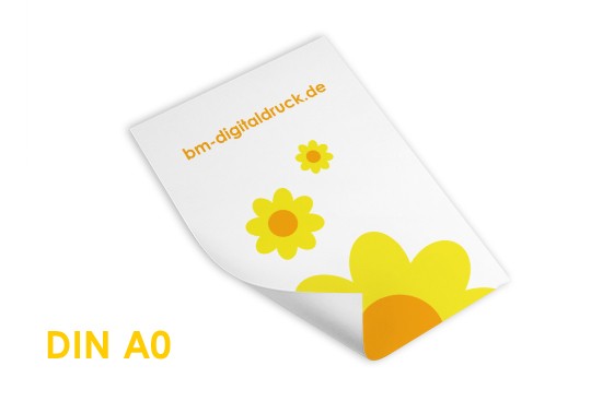 Plakat DIN A0 Fotopapier