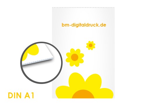 Plakat DIN A0 PP-Hohlkammer