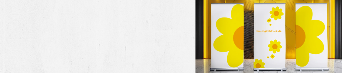 ... in vielen Varianten... Rollup-Displays